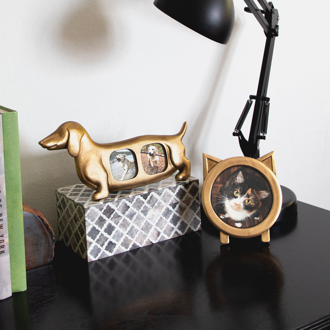 Animal Frames