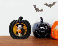 Isaac Jacobs 4x4 Pumpkin-Shaped Picture Frame For Halloween Or Fall Décor, Photo Tabletop & Wall Display Hanging Display