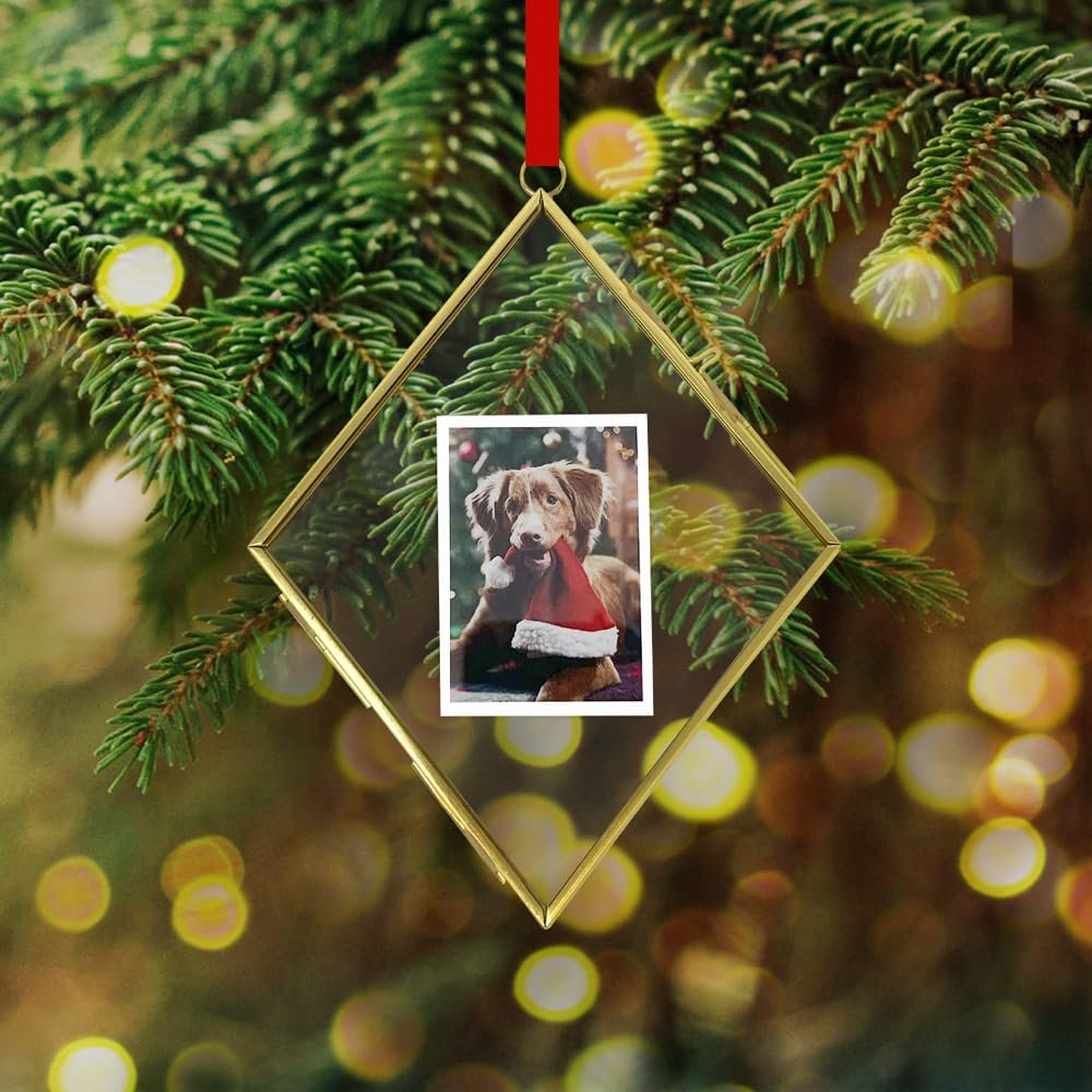 Isaac Jacobs (2"x3" Vintage Style Brass and Glass Diamond Ornament Frame with Locket Closure (Vertical) (Antique Gold), Metal Floating Frame, Made for Hanging