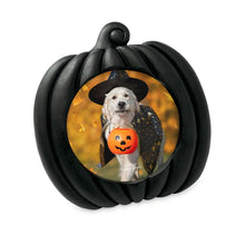 Isaac Jacobs 4x4 Pumpkin-Shaped Picture Frame For Halloween Or Fall Décor, Photo Tabletop & Wall Display Hanging Display_#color_Matt_Black_4x4