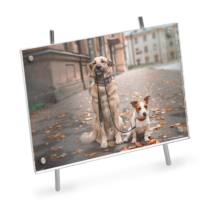 Isaac Jacobs Magnetic Acrylic Metal Easel_Frame