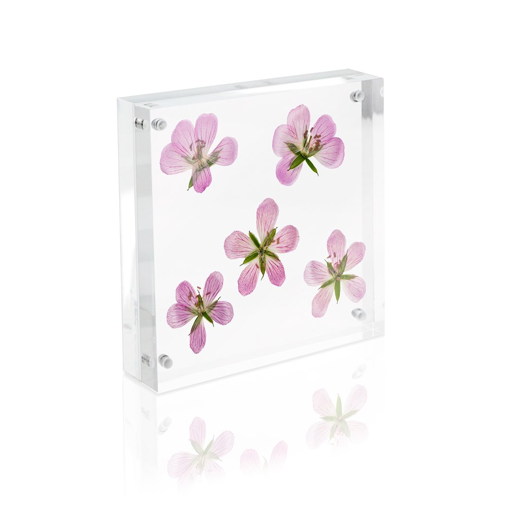 Isaac Jacobs Super Thick Acrylic Magnetic Block Frame