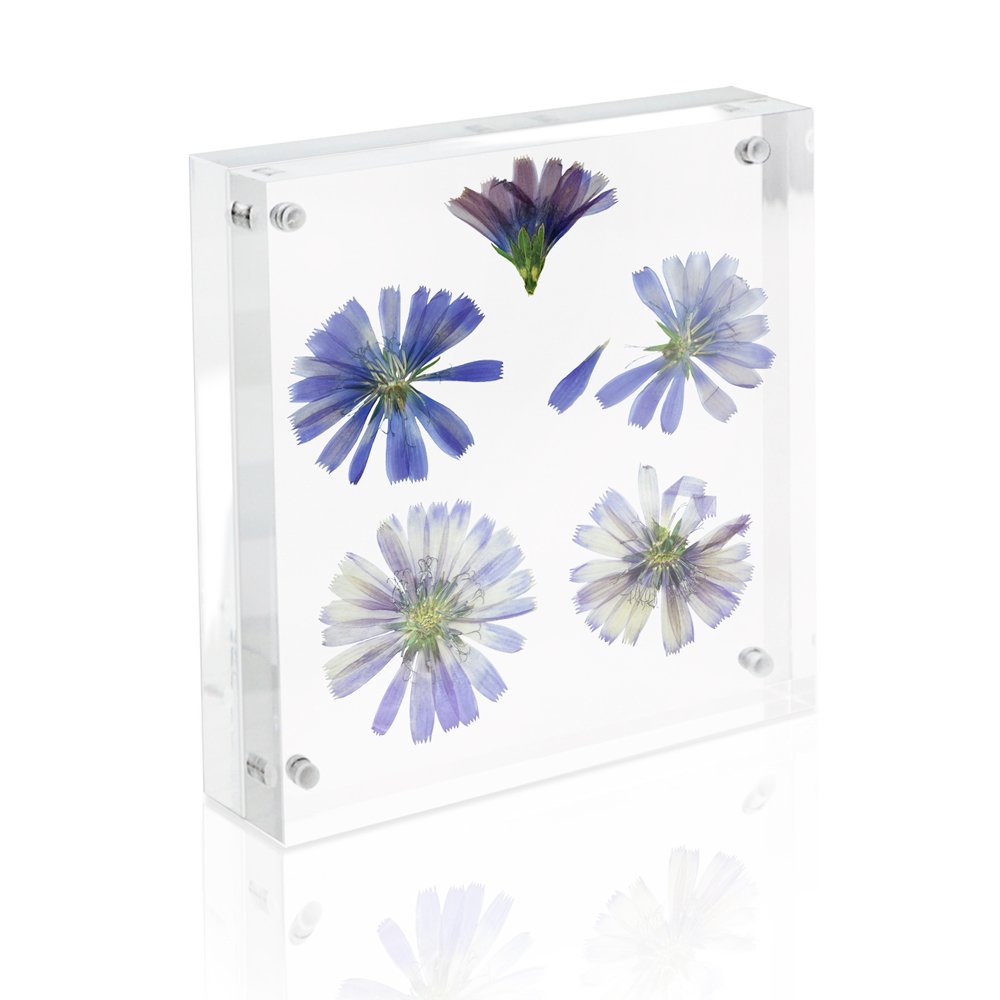 Isaac Jacobs Super Thick Acrylic Magnetic Block Frame